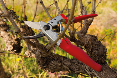 Felco Model No17 Professional Left-Handed Rotating Handle Secateurs from B&Q