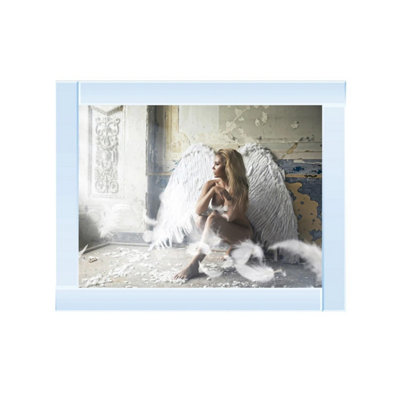 Biznest Clarissa Angel Glitter Liquid Wall Art from B&Q