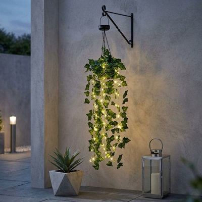 Lunaria Hanging Solar Ivy Basket from B&Q