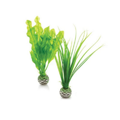 Oase Biorb Easy PlantSmallPack Of 2Green from B&Q