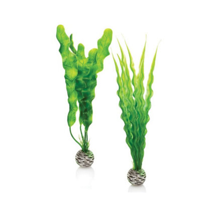 Oase Biorb Easy PlantMediumPack Of 2Green from B&Q