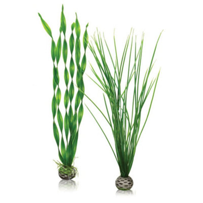 Oase Biorb Easy PlantTallPack Of 2Green from B&Q
