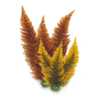 Oase Biorb Easy Plant Autumn FernMedium from B&Q