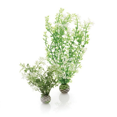 Oase Biorb Easy Plant Winter FlowersMedium from B&Q