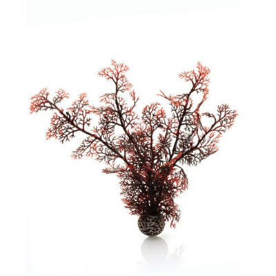 Oase Biorb Sea FanLargeCrimsonAquarium Fish Tank Ornament from B&Q