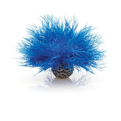 Oase Biorb Sea LilyBlueAquarium Fish Tank Ornament from B&Q