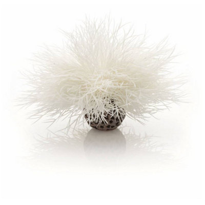 Oase Biorb Sea LilyWhiteAquarium Fish Tank Ornament from B&Q