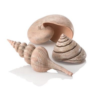 Oase Biorb Sea Shells NaturalAquarium Fish Tank Ornament from B&Q