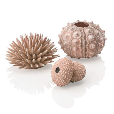 Oase Biorb Sea Urchins SetNaturalAquarium Fish Tank Ornament from B&Q