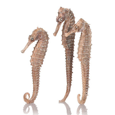 Oase Biorb Seahorse Natural 3 Pack from B&Q