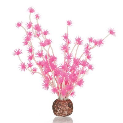 Oase Biorb Aquarium Decoration Bonsai Ball Pink from B&Q