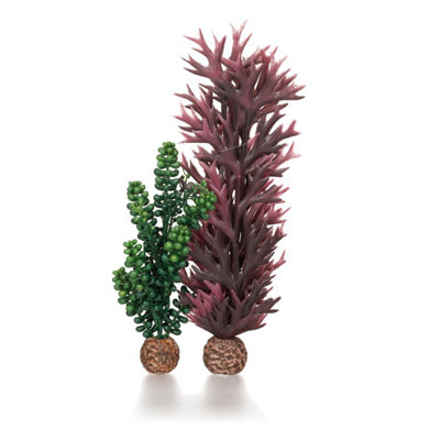 Oase Biorb Aquarium Decoration Seapearls And Kelp Medium from B&Q