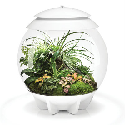 Oase Biorb Air 30 White 30L Acrylic Terrarium With Led Lighting Ultrasonic Mister Reptile Tropical Plant Tank from B&Q