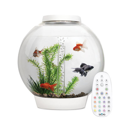 Oase Biorb Classic 30L Aquarium Fish Tank In White With Mcr Led Lighting from B&Q