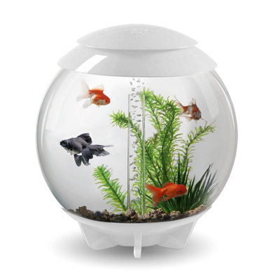 Oase Biorb Halo 30L Aquarium Fish Tank In White With Mcr Led Lighting from B&Q