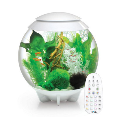 Oase Biorb Halo 60L Aquarium Fish Tank In White With Mcr Led Lighting from B&Q