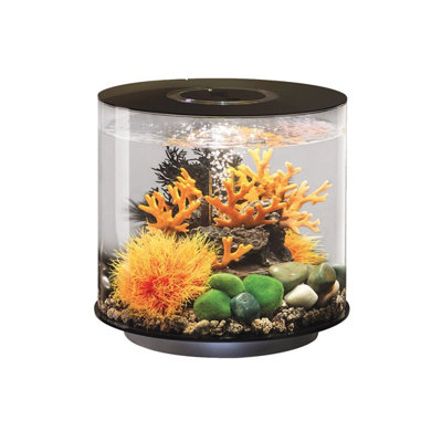 Oase Biorb Tube 15L Aquarium Fish Tank In Black With Led Lighting from B&Q