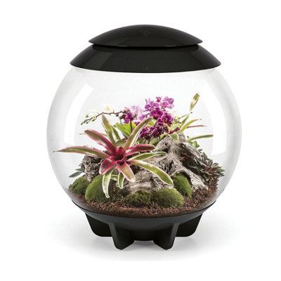 Oase Biorb Air 60 Litre Automatic Terrarium In Black With Led Lighting from B&Q