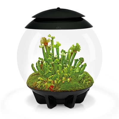 Oase Biorb Air 30 Black 30L Acrylic Terrarium With Led Lighting Ultrasonic Mister Carbon Filter Reptile Amphibian Tank from B&Q
