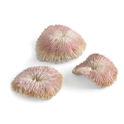 Oase Biorb Plate Coral Set Of 3 Ornament Aquarium Decorations from B&Q
