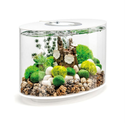 Oase Biorb Loop 15L Aquarium Fish Tank In White With Mcr Led Lighting from B&Q