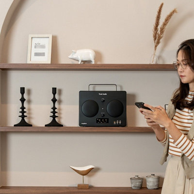Tivoli AudioSongbookBlack from B&Q