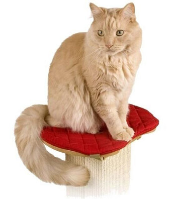 B&Q -  Cat Scratching Post Pole Bed Perch For Ultimate Scratcher Red