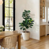 Found it product image.