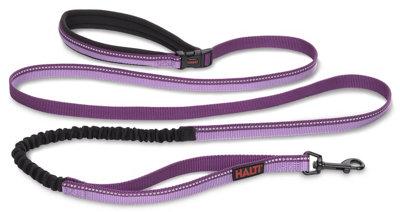 Company Of Animals Purple Halti Active Lead Award-Winning Bungee Dog Lead, Shock-Absorbing Anti-Pull Leash Large B&Q