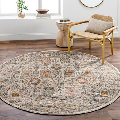 Livabliss Amira Round Vintage Traditional Oriental Boho Burnt Area Rug 160 X 160 Cm Orange