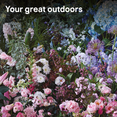 Your great outdoors