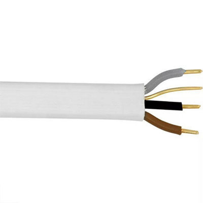 1.0mm 6243B 3 CORE & EARTH (100m) LSF