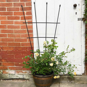 1.2 Metre Fan Pot Trellis, Plastic Coated Steel Outdoor Decorative Plant Support, Weather Resistant (1)