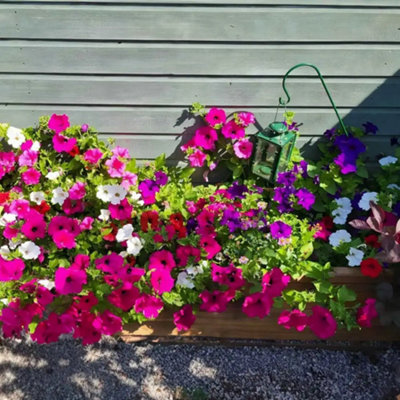 1.4m Pine Raised Trough Planter - 6