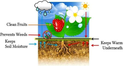 1.5 x 2 m / 4.9 x 6.5 ft Weed Control Membrane - 3