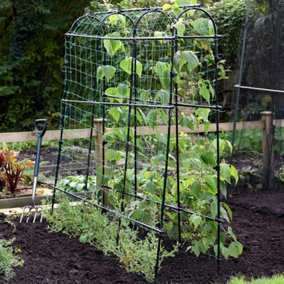 1.8 x 1.8m Pea & Bean Tunnel Four Arches with Mesh Netting Included, Protection for Crops & Plants