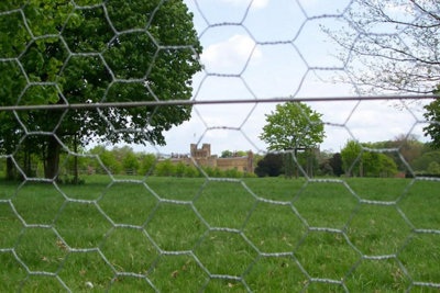 1.8m tall Wire Mesh Galvanised Chicken Wire Fencing 25mm - 50m Roll - 3