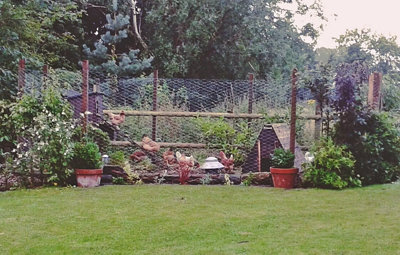 1.8m tall Wire Mesh Galvanised Chicken Wire Fencing 50mm - 25m Roll