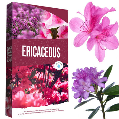 1 Bag (60L) Ericaceous Plant Soil Specially Formulated With Essential Nutrients Azalea