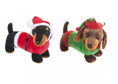 Teddy sales sausage dog