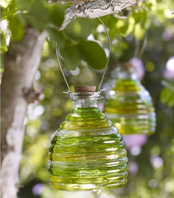 Glass Wasp Trap 2x Large Hanging Honey Pot Outdoor & Fly Catcher Flies Insects E - Foto 2