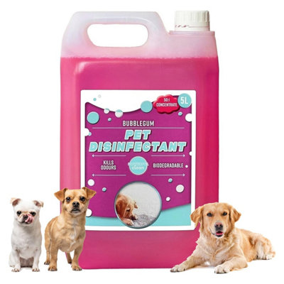 1 x 5 Litre Pet Disinfectant Fresh Bubble Gum Breaks Down Odours Including Sweat, Urine & Faeces