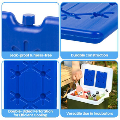 1 x ASAB Reusable Freezer Blocks 3pk