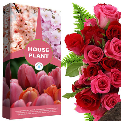 1 x House Plant Compost 40 Litres (4 x 10 Litres) Ideal For House Plants With Added Nutrients For Healthy Leaves & Plants