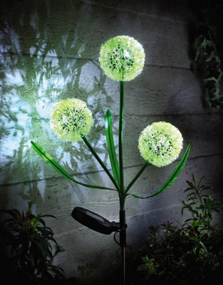 1 x Solar Allium Bloom Stake Light - Solar Powered Outdoor Garden Decor Flower Design Pathway Patio Lighting - 75 x 9cm - 1