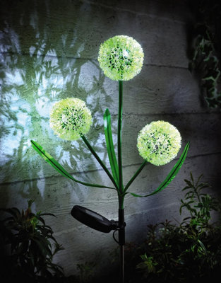 1 x Solar Allium Bloom Stake Light - Solar Powered Outdoor Garden Decor Flower Design Pathway Patio Lighting - 75 x 9cm