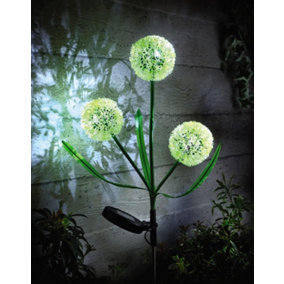 1 x Solar Allium Bloom Stake Light - Solar Powered Outdoor Garden Decor Flower Design Pathway Patio Lighting - 75 x 9cm