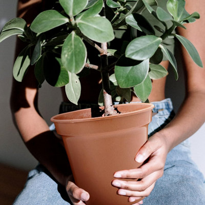 10 Inch Plastic Flower Planter Pot Terracotta