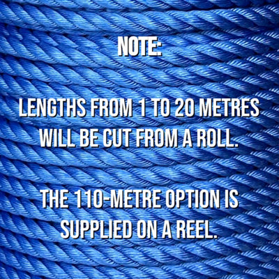 10 m / 32.8 ft x 10 mm Blue Polypropylene Rope - Strong Weatherproof ...