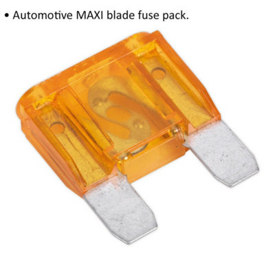 10 PACK 40A Automotive MAXI Blade Fuse Pack - 2 Prong Vehicle Circuit Fuses